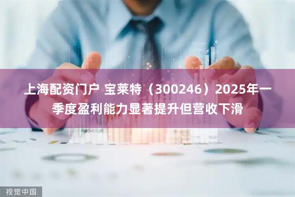 上海配资门户 宝莱特（300246）2025年一季度盈利能力显著提升但营收下滑