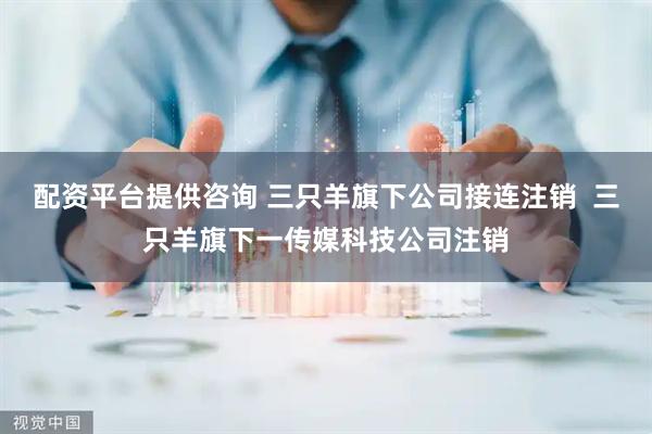 配资平台提供咨询 三只羊旗下公司接连注销  三只羊旗下一传媒科技公司注销